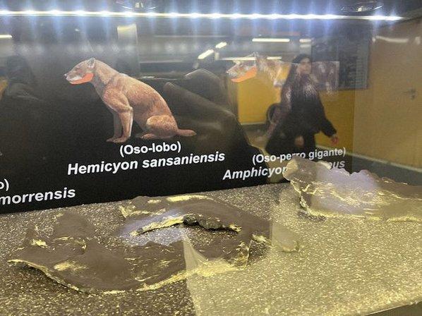 Yacimiento Paleontológico Metro Carpetana