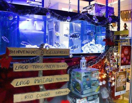 Aquarium CicliLandia.com - Petfactory.es