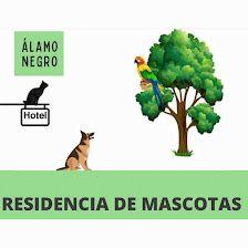 Residencia de Mascotas Álamo Negro