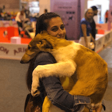 Peluqueria Canina Mordisquitos
