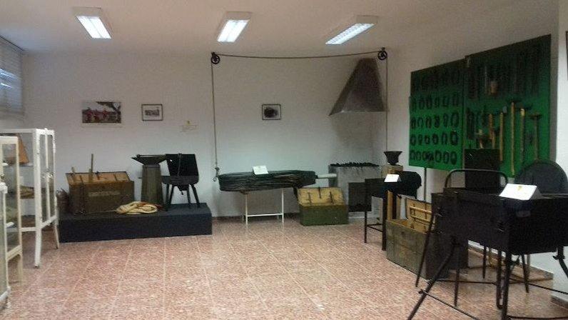 Museo colección de Veterinaria Militar