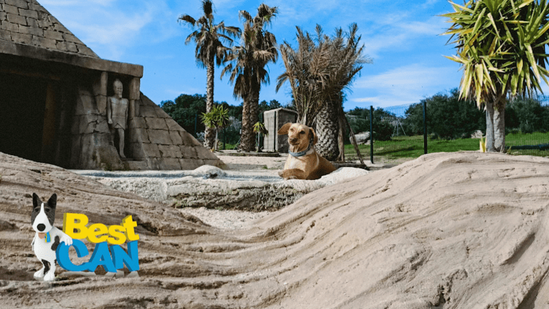 Hotel canino Bestcan