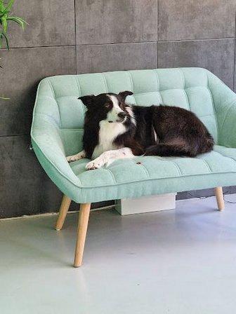 Dog Corner Peluquería Canina