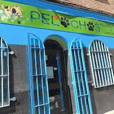 Pelochos peluquería canina