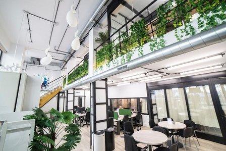 Centro de Negocios - Coworking Bernabéu