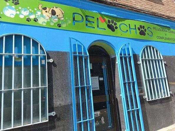 Pelochos peluquería canina