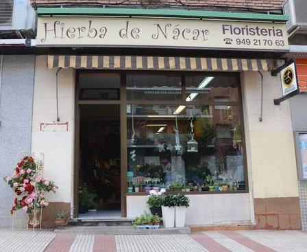 Hierba de Nácar