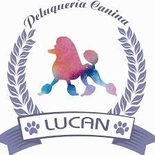 LUCAN Peluqueria Canina