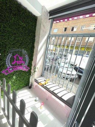 LUCAN Peluqueria Canina