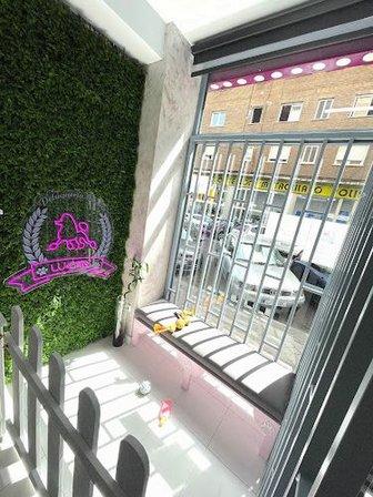 LUCAN Peluqueria Canina