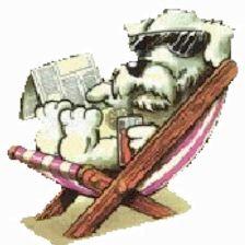 Residencia Canina Solycan