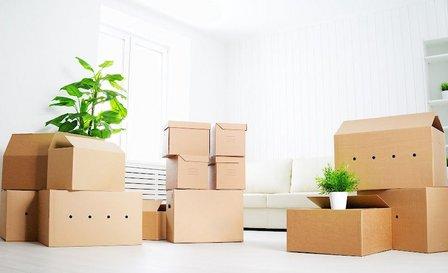 ACD Servicios y Alquileres