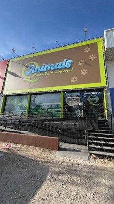QAnimals Móstoles