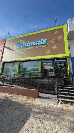 QAnimals Móstoles