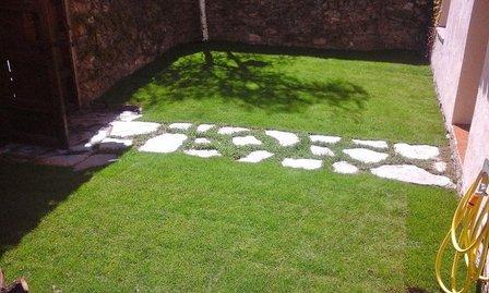 S&S Suministros y Servicios Control de Plagas y Jardinería