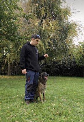 adiestramiento canino