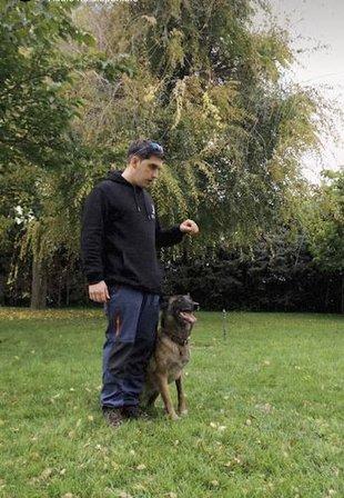adiestramiento canino