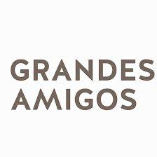 Fundación Grandes Amigos