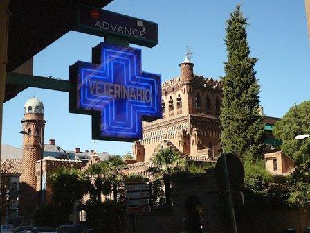 Veterinary Clinic Paseo de la Estación