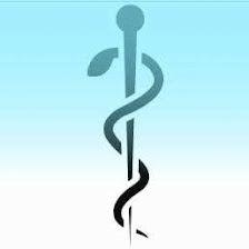 Acupuntura Madrid & El Camino de la Fertilidad