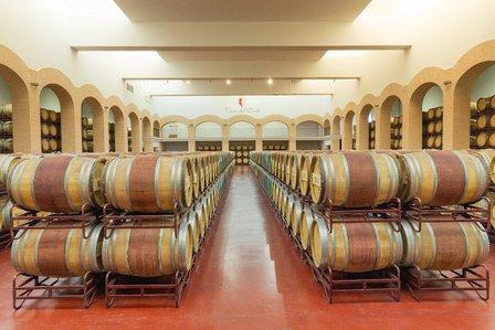 Bodegas y Viñedos Casa del Valle