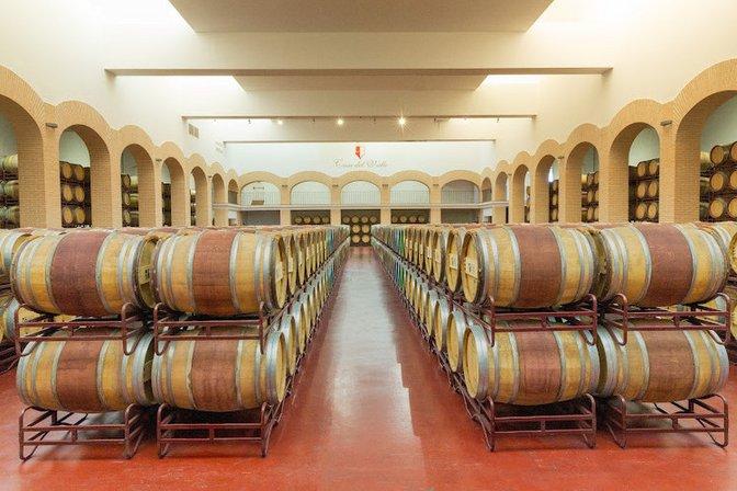 Bodegas y Viñedos Casa del Valle