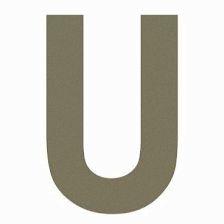 UENO CONSULTING GROUP