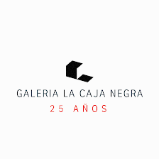 Galería La Caja Negra