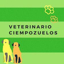 Centro Veterinario Ciempozuelos
