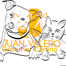Peluquero Canino juan Valero