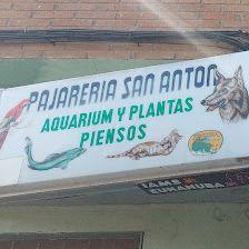 Pajareria Aquarium Armería Caza y Pesca San Antón