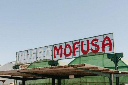 Vivero Mofusa