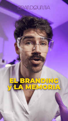 Brandquimia Agencia de Marketing Digital