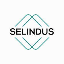 Riaza Vacacional 2 - Selindus
