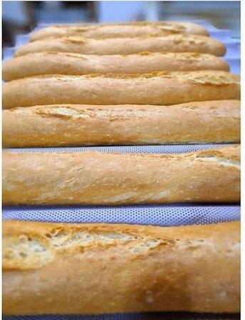 Horno Caballero
