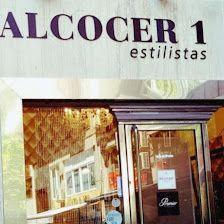 Alcocer 1 Estilistas