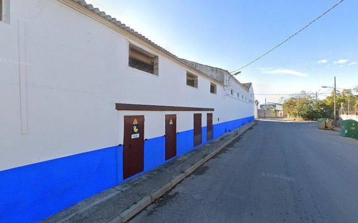 Jóvenes corraleños