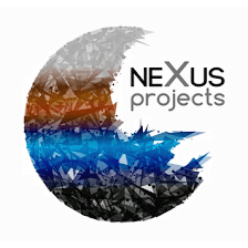 NEXUS PROJECTS PROFESSIONAL