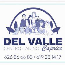 Centro canino DEL VALLE CAPRICE