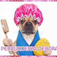 PerruqueriaDebora (SOLO GATOS)