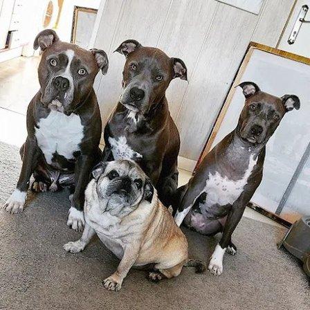 Canillas Veterinary Clinic