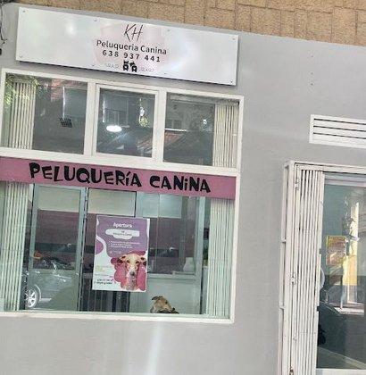 KH Peluqueria Canina