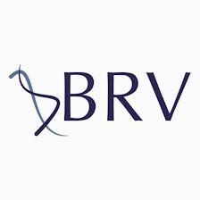 BRV Soluciones