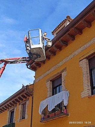Albañilería y Servicios Feralex