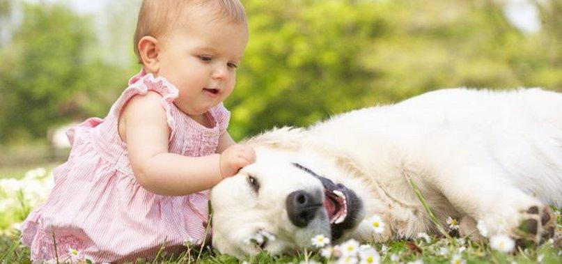 Terapia Asistida con Animales Yaracan