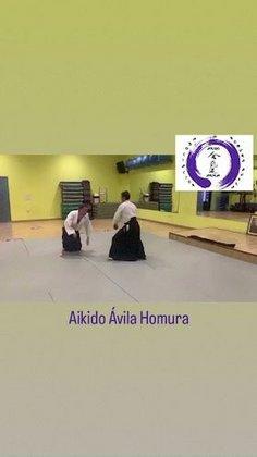 Aikido Ávila Homura
