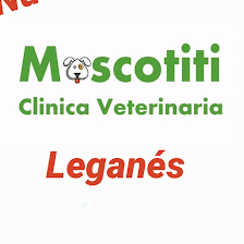Clínica Veterinaria Mascotiti Leganés