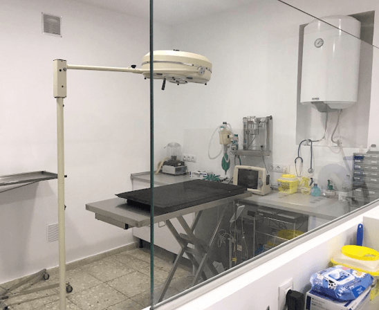 Hospital Felino Madrid