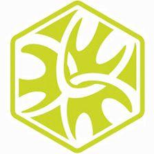 CORPORARTIS