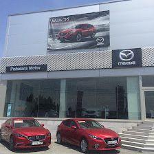 Peñalara Motor